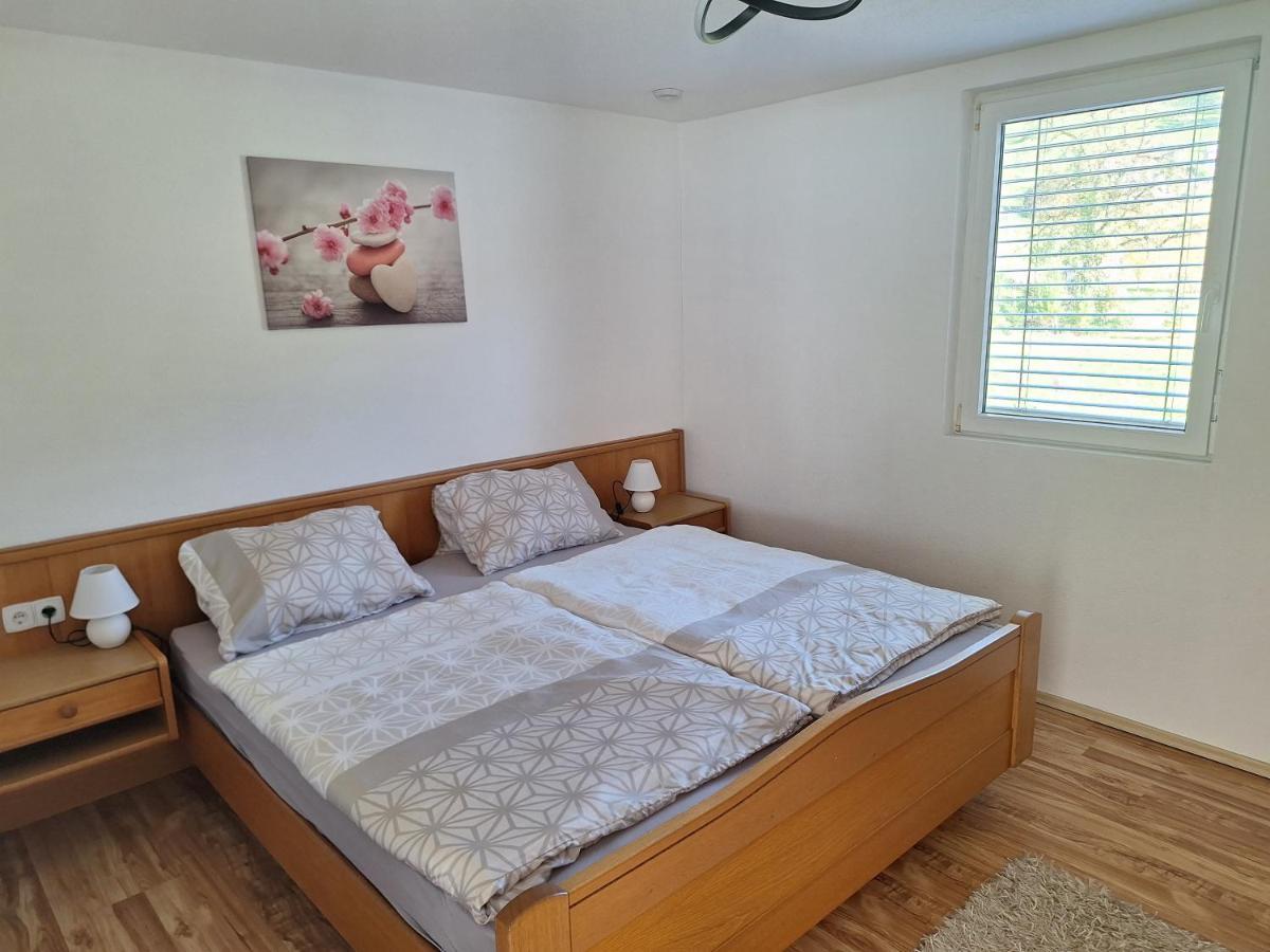 Apartment Rheintal Im Alpenvorland Batschuns Eksteriør billede