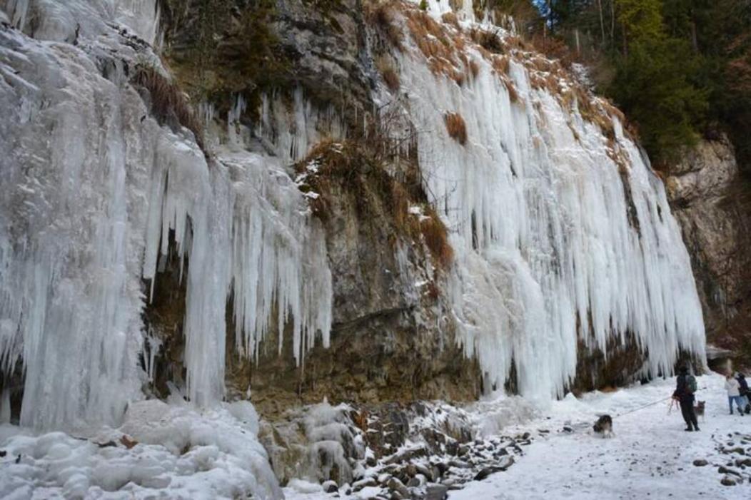 Apartment Rheintal Im Alpenvorland Batschuns Eksteriør billede
