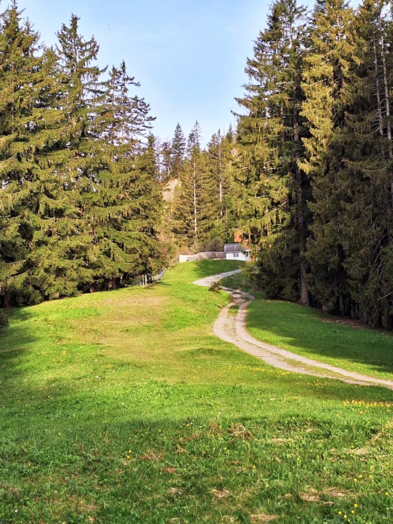Apartment Rheintal Im Alpenvorland Batschuns Eksteriør billede