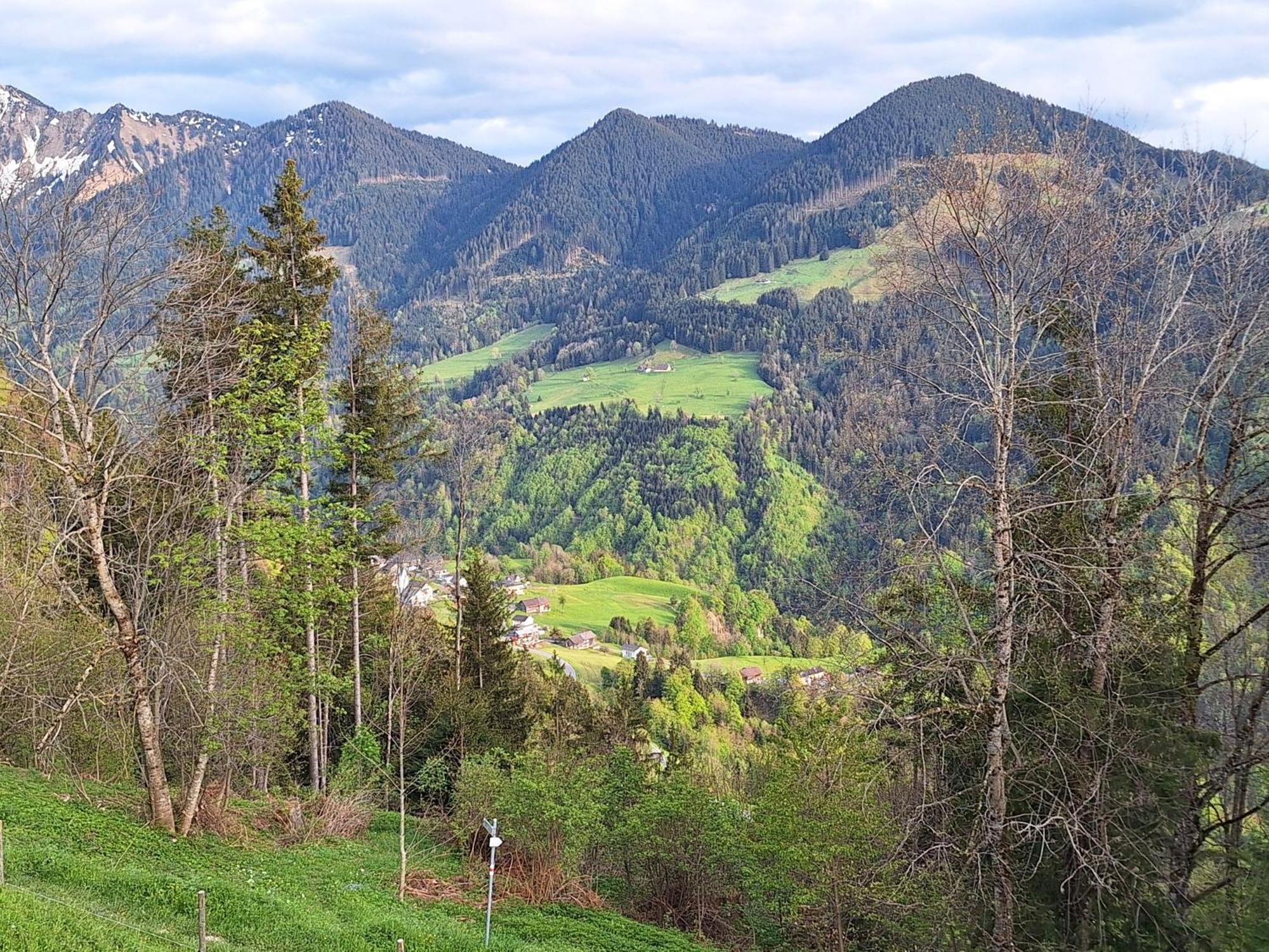 Apartment Rheintal Im Alpenvorland Batschuns Eksteriør billede