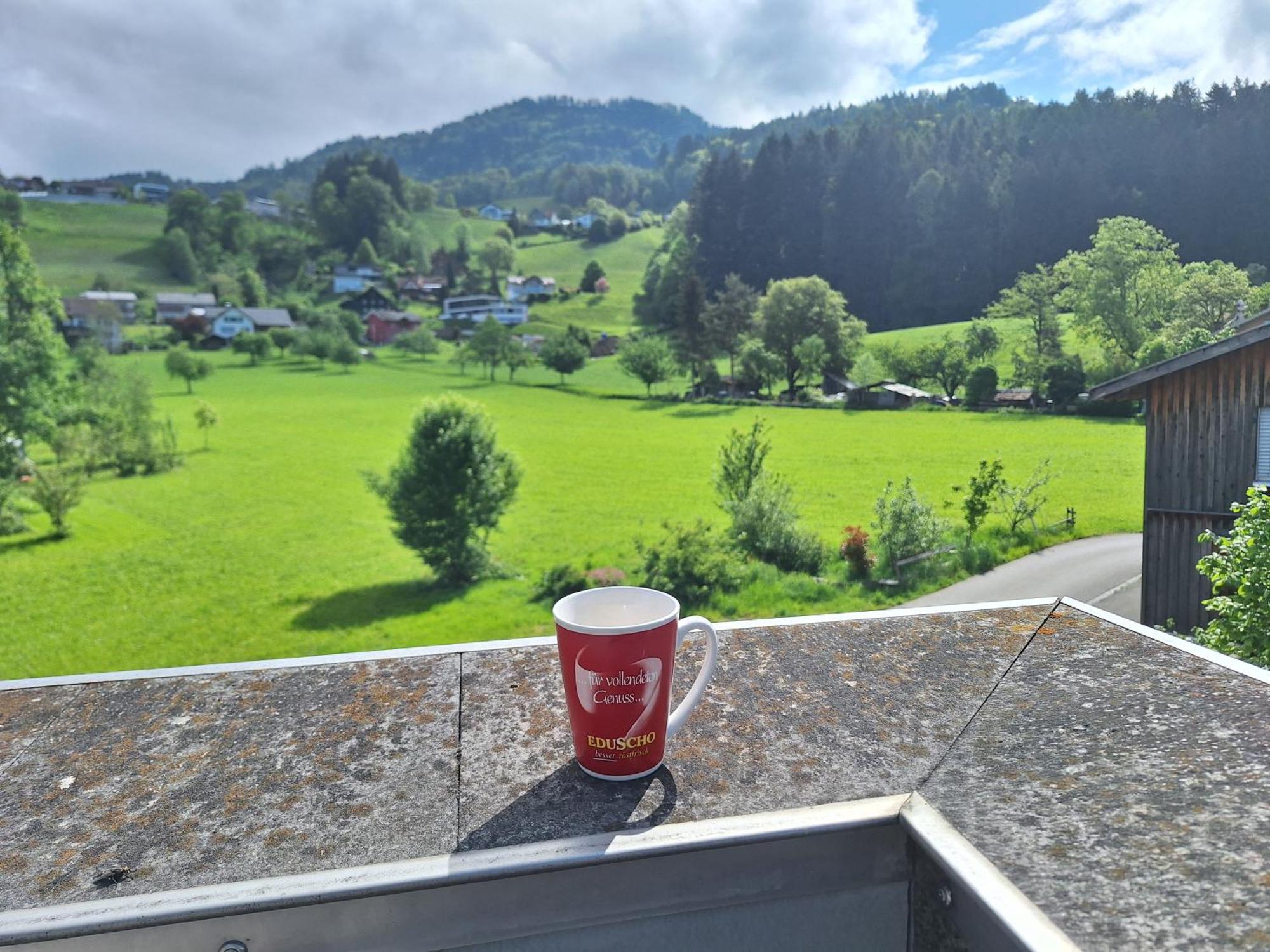 Apartment Rheintal Im Alpenvorland Batschuns Eksteriør billede