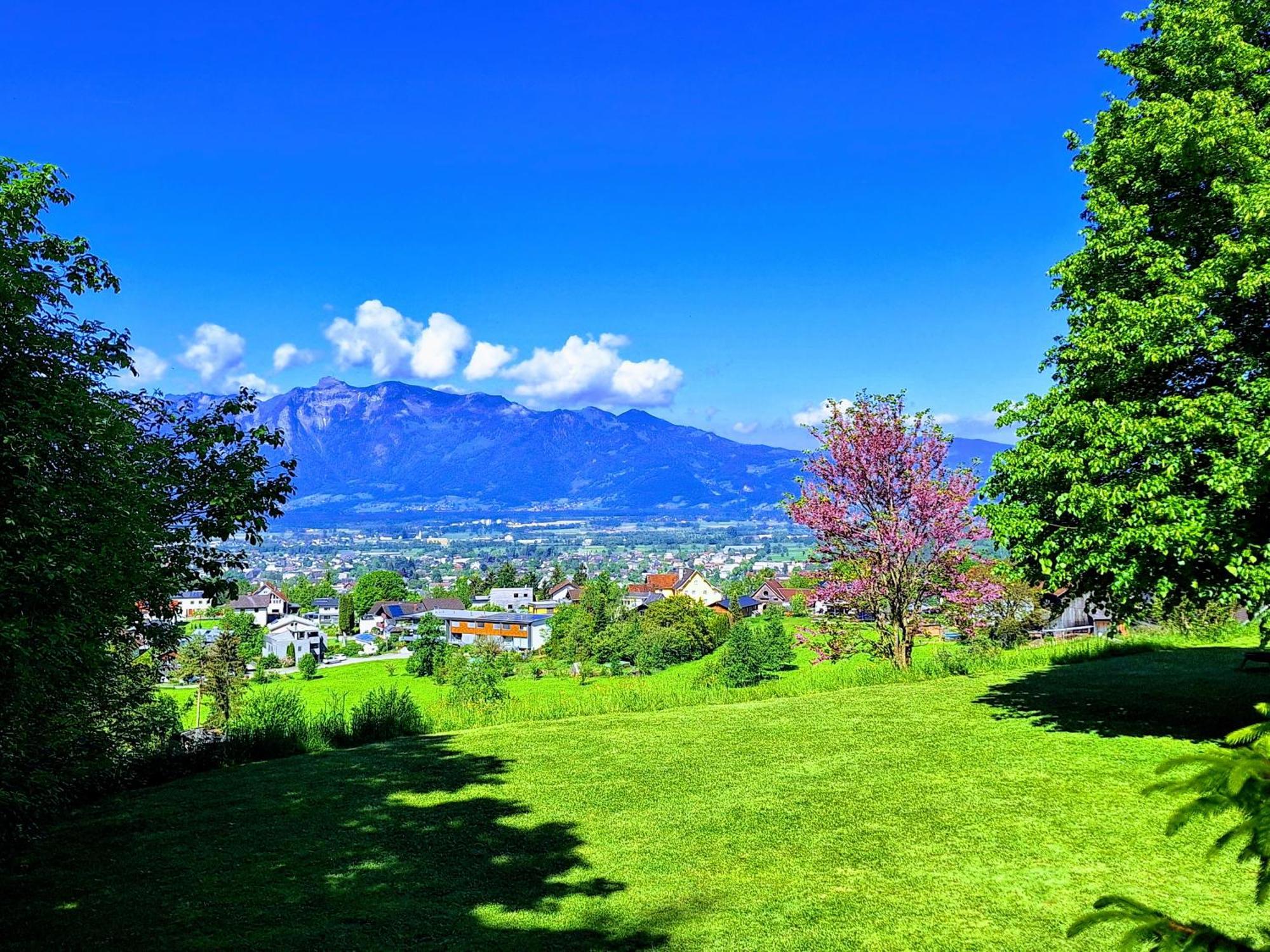 Apartment Rheintal Im Alpenvorland Batschuns Eksteriør billede